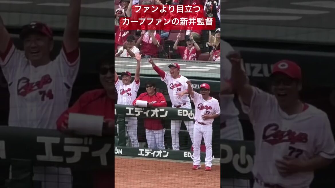 新井監督、中村奨成の逆転打に監督忘れて1番のカープファンになる瞬間！広島東洋カープvs東北楽天イーグルス#shorts 2025年6月22日