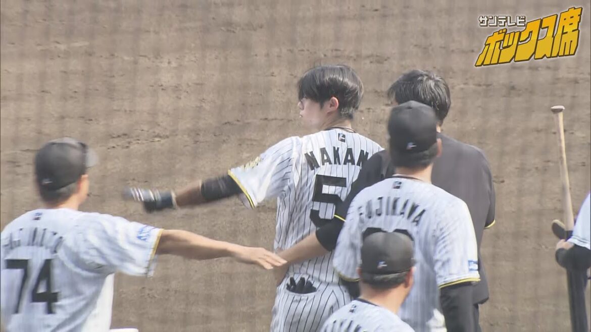 【中野選手が見せた気遣い】６回裏デッドボールのアクシデント（2025年6月22日 阪神-ソフトバンク） #サンテレビボックス席