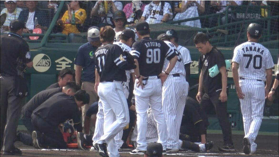 ヤジが飛ぶ中‼️ホークス小久保監督‼️阪神中野拓夢への頭部死球に真っ先に謝罪に🙇2025.6.22⚾️阪神対ソフトバンク
