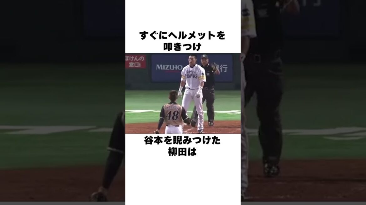 「デッドボールにブチギレてみた」柳田悠岐についての雑学#野球#野球雑学#ソフトバンクホークス
