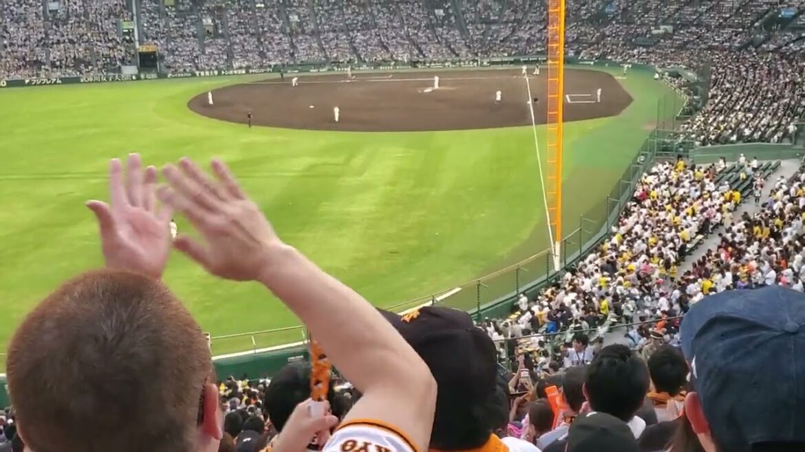 20240524 醤油に餃子♪ 【吉川尚輝 応援歌】読売ジャイアンツ(巨人) 4回表@阪神甲子園球場・レフト外野 20240524 醤油に餃子♪ 【吉川尚輝 応援歌】読売ジャイアンツ(巨人) 4回表@阪神甲子園球場・レフト外野