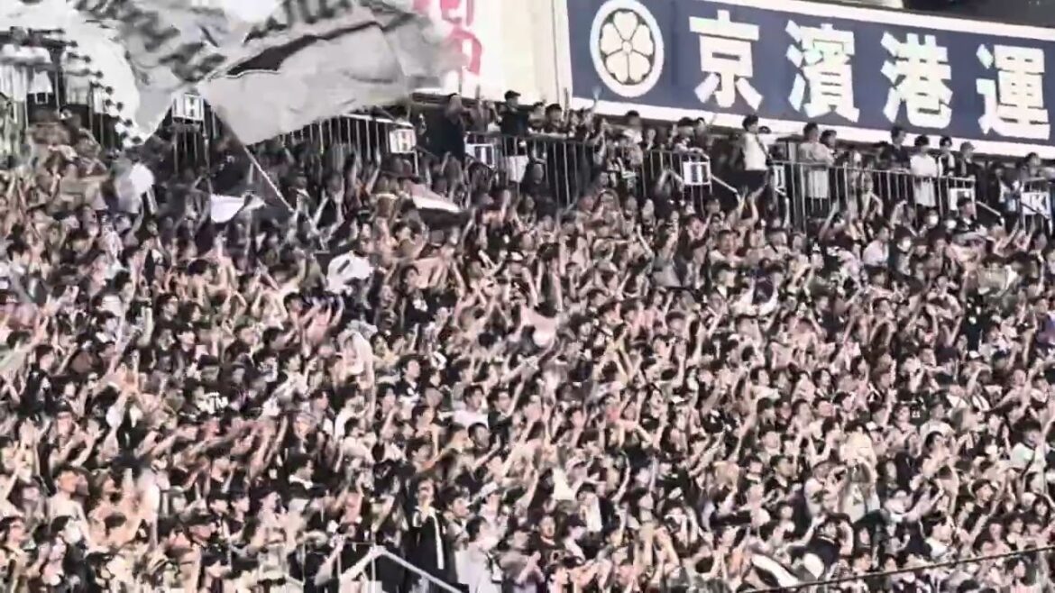 【千葉ロッテマリーンズ】出塁テーマ