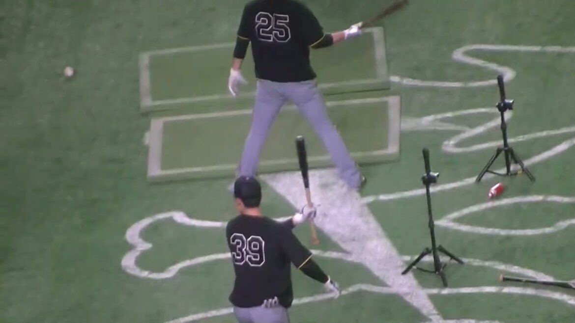 タイガース渡邉諒トスバッティング2025年4月4日 東京ドーム 阪神タイガース練習