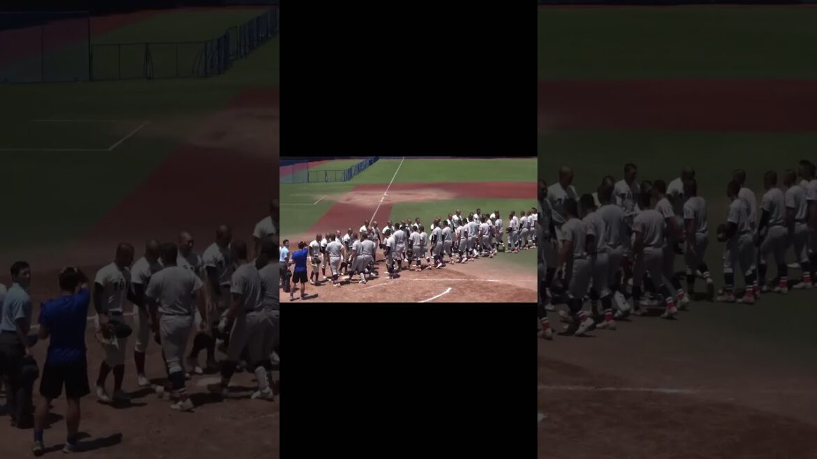 横浜高校vs大阪桐蔭　#高校野球 #横浜高校 #大阪桐蔭 #野球