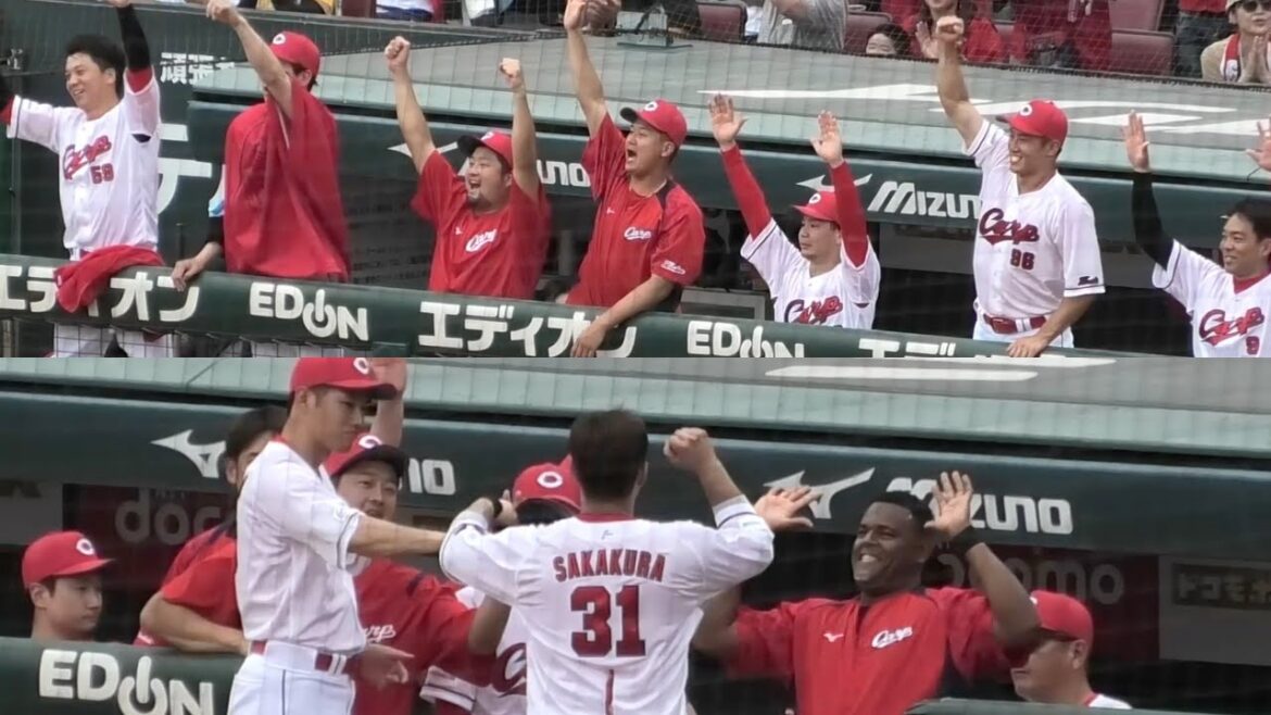7回、坂倉将吾が貴重な追加点となる2点タイムリーを打った瞬間のカープベンチハイライト！広島東洋カープvs東北楽天イーグルス 2025年6月22日