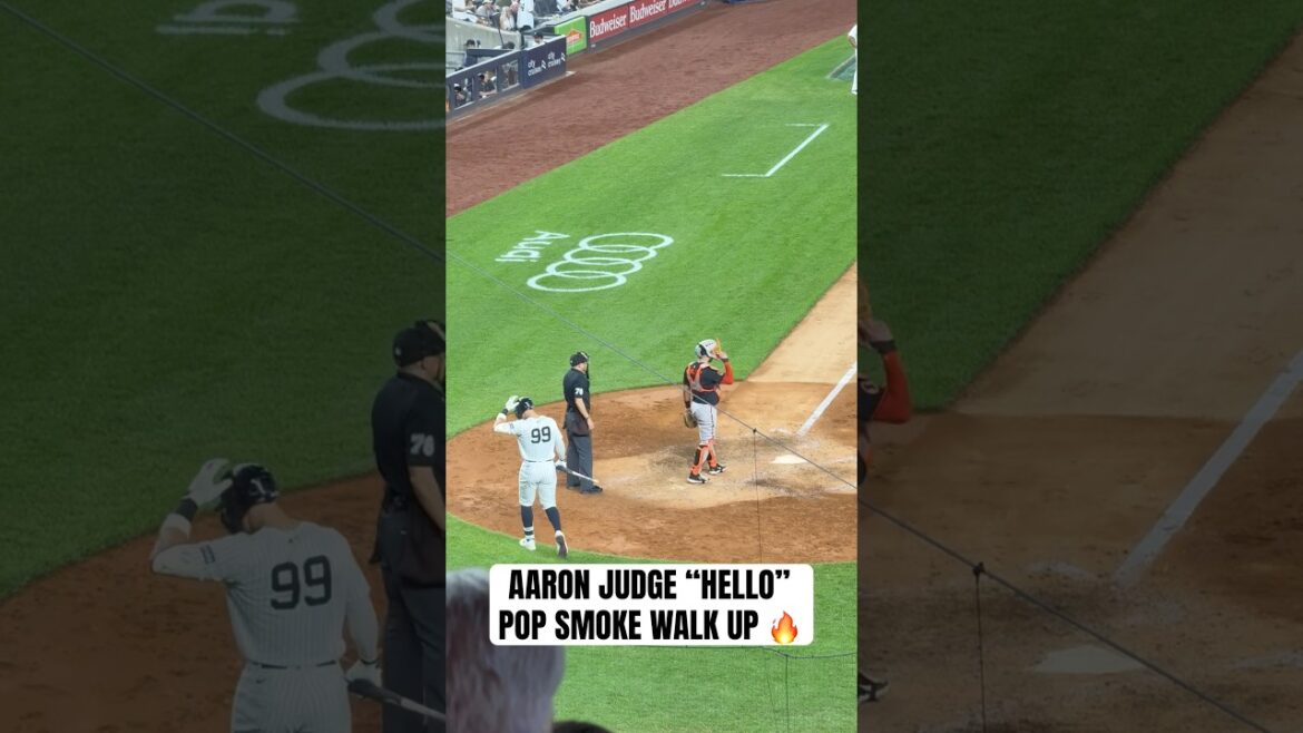 Aaron Judge’s walk up to Pop Smoke at Yankee Stadium #aaronjudge #yankees #popsmoke #yankeestadium