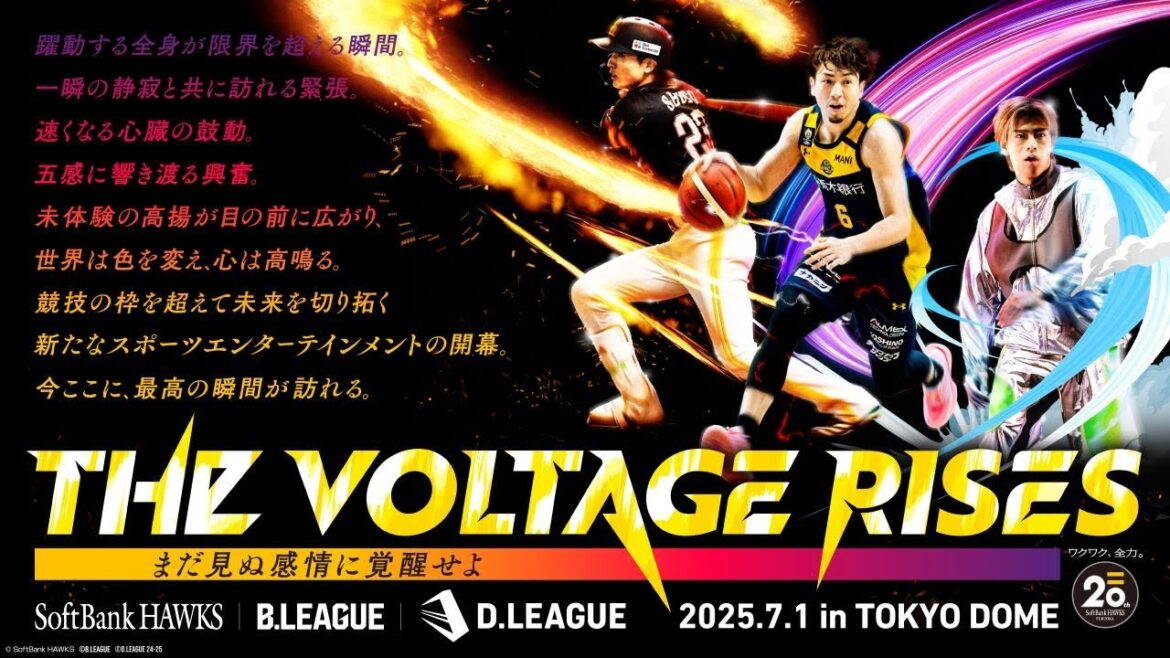 【ソフトバンクホークス誕生20周年】競技の枠を超えて未来を切り拓く【7月1日は東京ドーム開催】
