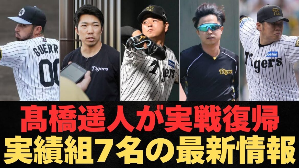 【朗報続々】2軍にいる実績組7選手の最新情報まとめ!【阪神タイガース】 【朗報続々】2軍にいる実績組7選手の最新情報まとめ!【阪神タイガース】