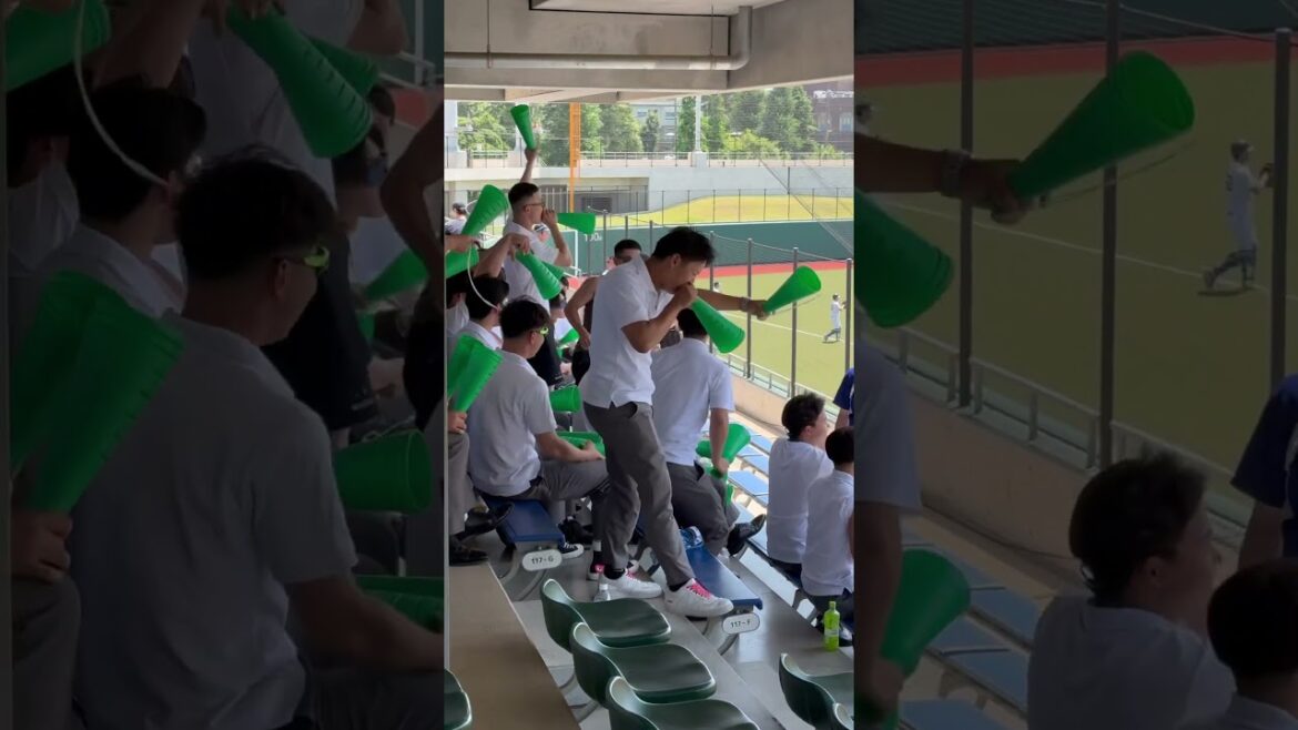流れ持ってこい！　#大学野球 #高校野球 #応援 #野球応援 #東都大学野球