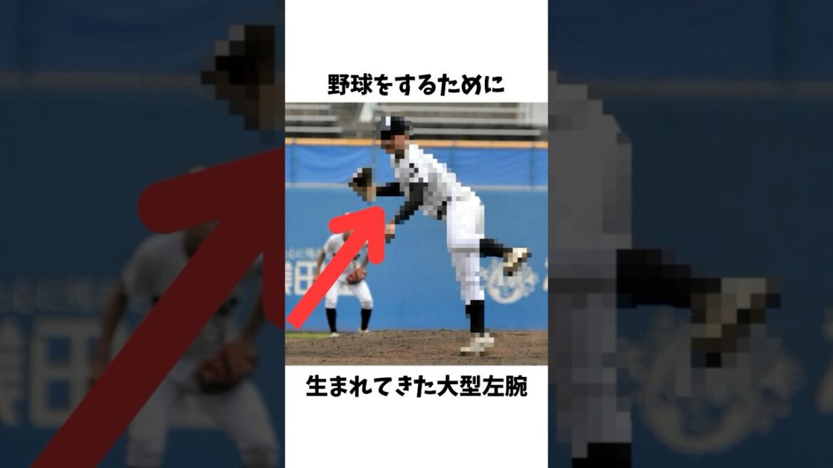 野球をやる為に生まれてきた大型左腕#プロ野球#野球#高校野球#高校生#西条高校#宇佐美球児