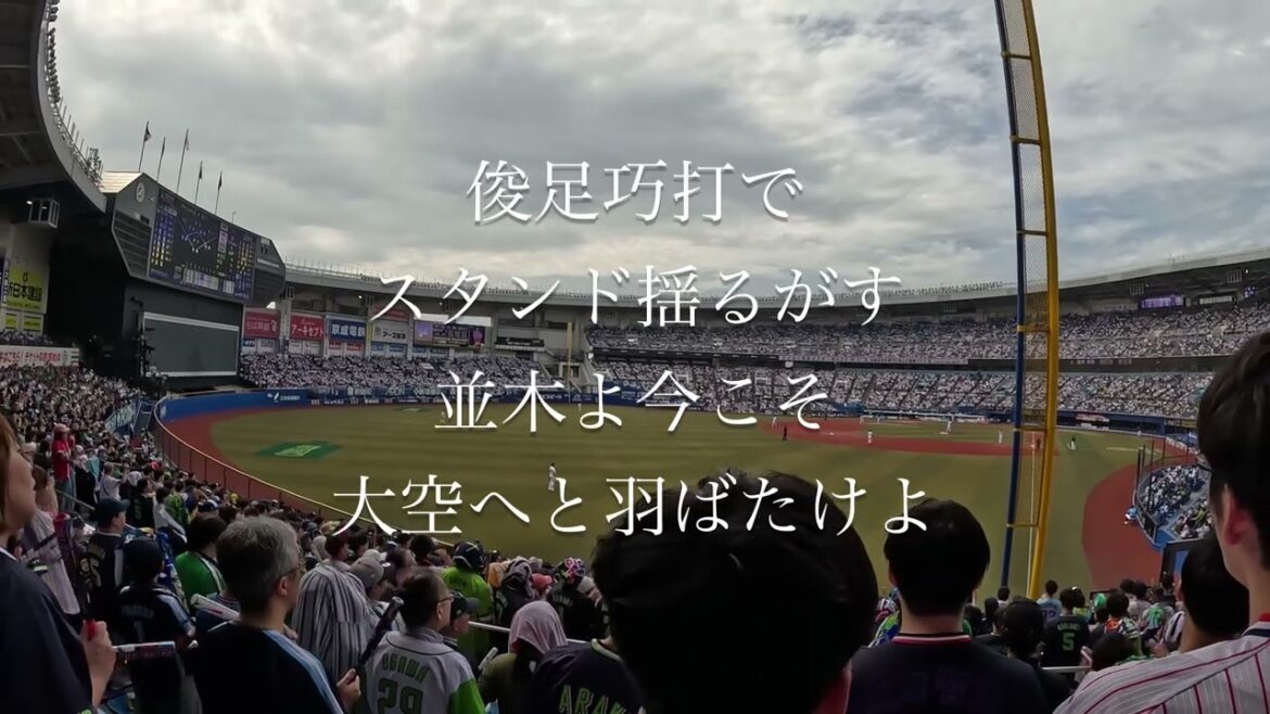 ヤクルト 並木秀尊 応援歌 ZOZOマリンスタジアム 2025/6/15