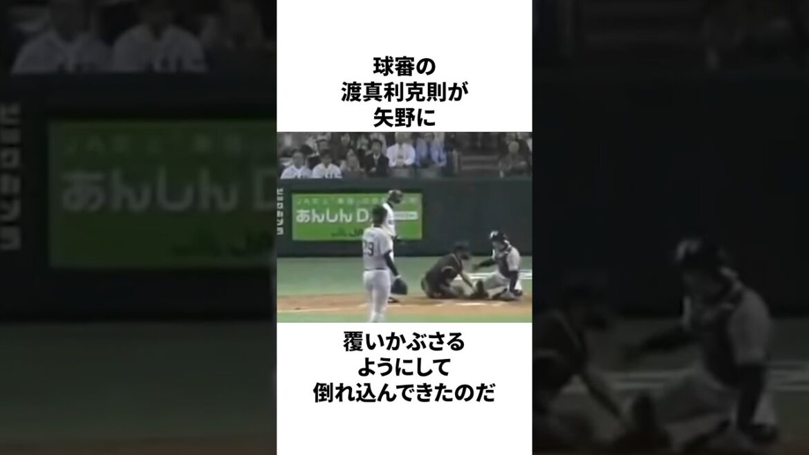 矢野燿大が「試合中に突然審判に抱き着いた」ことについての雑学　#プロ野球 #野球 #npb