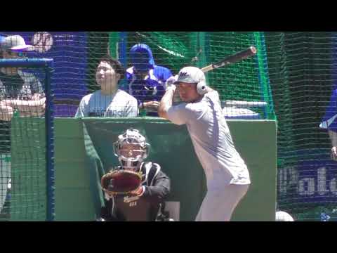 2025年6月22日交流戦 千葉ロッテ 石垣 雅海 選手の試合前フリー打撃練習 2025年6月22日交流戦 千葉ロッテ 石垣 雅海 選手の試合前フリー打撃練習