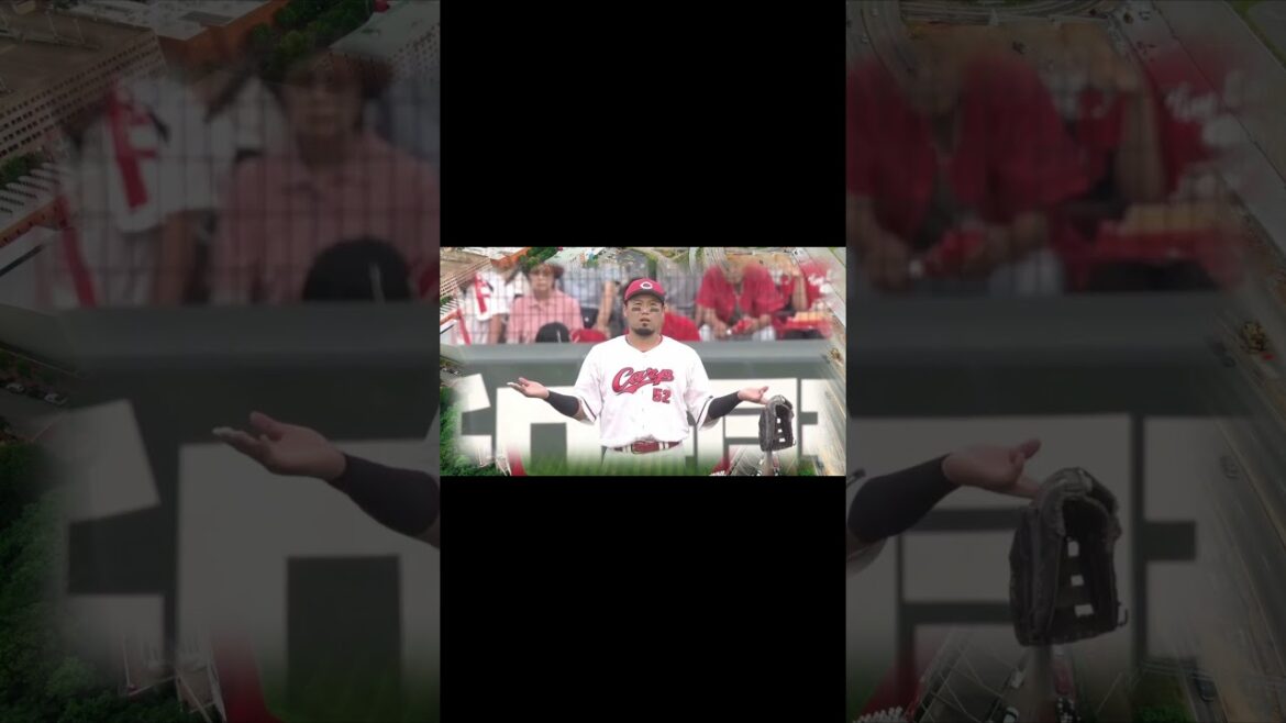 【広島カープスレ】 #スレ反応 #広島東洋カープ #なんj民