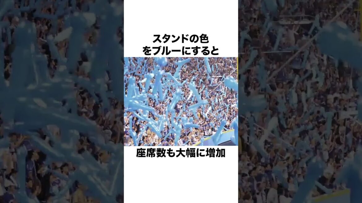 「赤字20億を黒字転換させ日本一の球団へ」南場智子オーナーについての雑学#野球#野球雑学#横浜DeNAベイスターズ