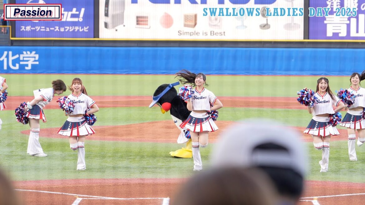 【Passion】SWALLOWS LADIES DAY 2025 ダンスパフォーマンス  2025/06/20 東京ヤクルトスワローズ