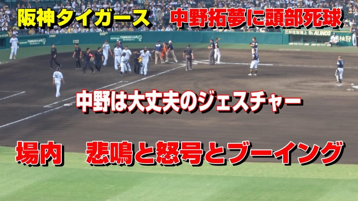 阪神タイガース　中野拓夢に頭部死球　場内は悲鳴・怒号・ブーイング→中野は大人な対応　交流戦　阪神甲子園球場　2025.6.22