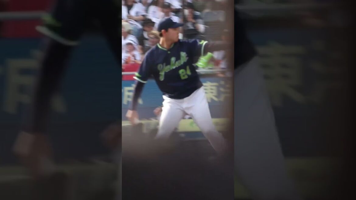 星知弥 3番手 東京ヤクルトスワローズ 2025.6.15