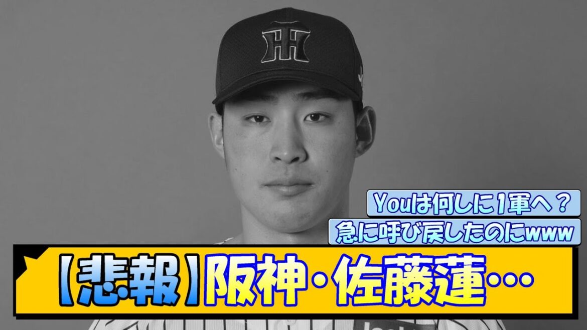 【悲報】阪神・佐藤蓮…