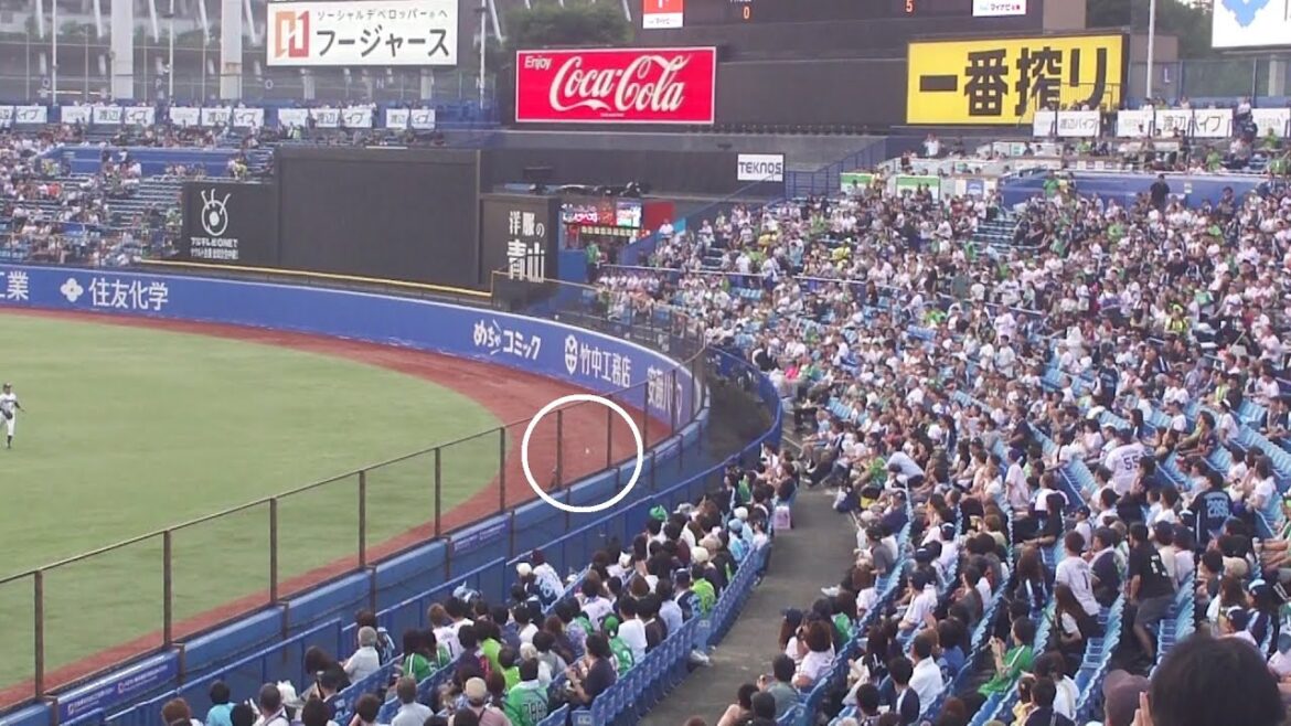 オリックス 西川龍馬 あわやホームランの惜しい当たり フェンス直撃のツーベースヒット 　ヤクルト vs オリックス　2025年6月20日(金)　神宮球場交流戦