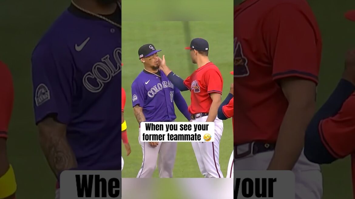 Matt Olson & Orlando Arcia say hello 😂