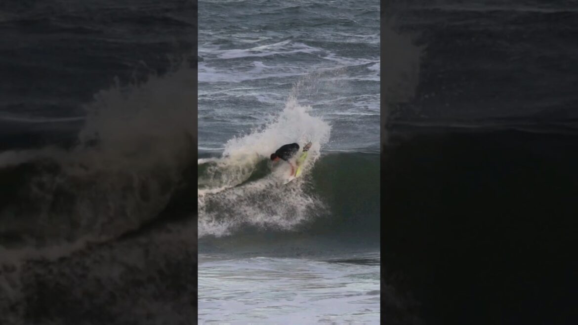 日本の宝、加藤しょうへい【Todays wave】#shorts #surfing #サーフィン