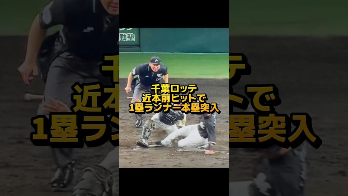 さすがに近本を舐めすぎ？