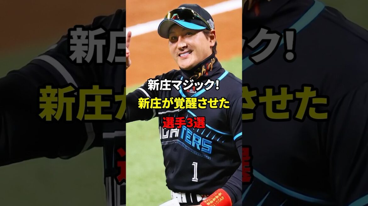 新庄が覚醒させた選手#野球#雑学#新庄剛志