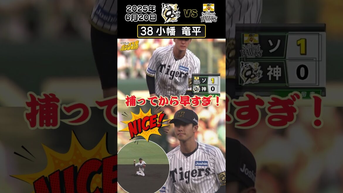 【名手小幡 今日も素晴らしいプレー！】捕ってからの流れが気持ちよすぎます！！（2025年6月20日 阪神-ソフトバンク） #サンテレビボックス席