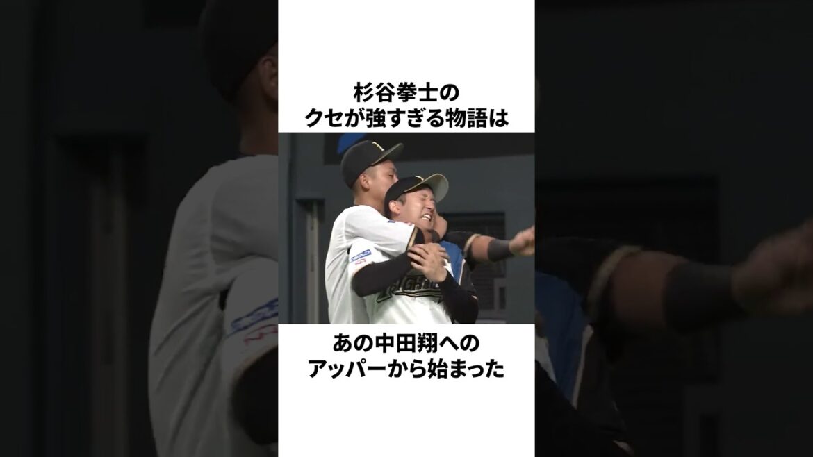 中田翔にアッパーをして2軍落ちし、新庄監督からバラエティ禁止にされた杉谷拳士についての雑学 #プロ野球 #npb #野球 中田翔にアッパーをして2軍落ちし、新庄監督からバラエティ禁止にされた杉谷拳士についての雑学 #プロ野球 #npb #野球