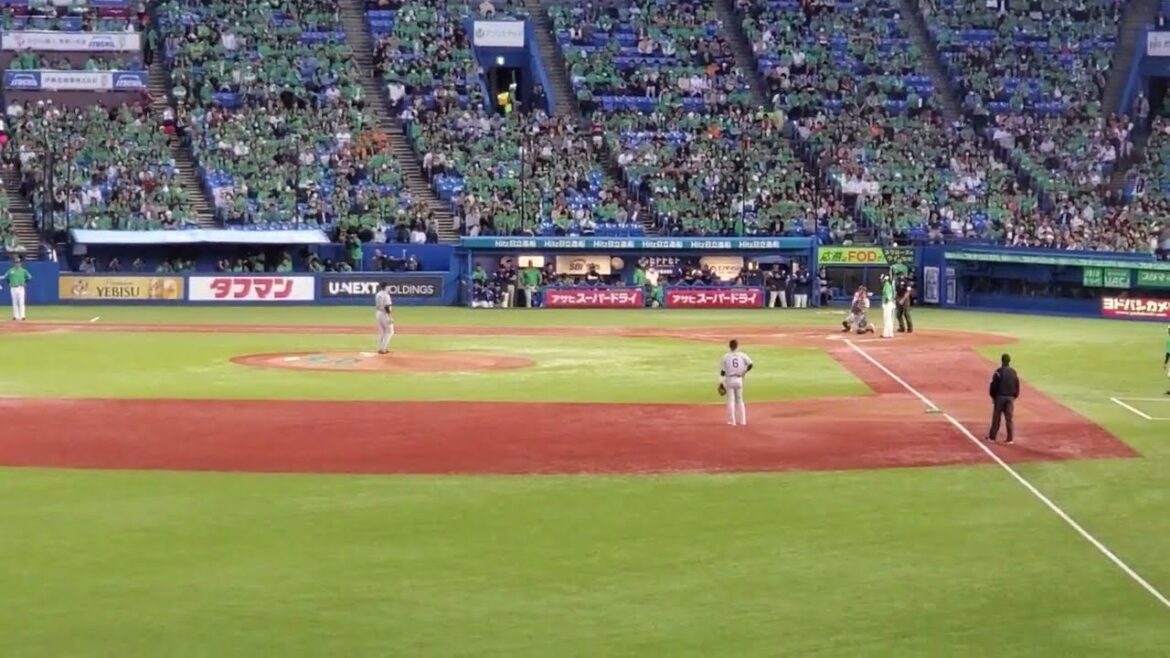 20240511　ﾑｰﾁｮ♪【中村悠平 応援歌】2回ｳﾗ　東京ﾔｸﾙﾄｽﾜﾛｰｽﾞ@神宮球場･ﾚﾌﾄ外野 明治神宮野球場