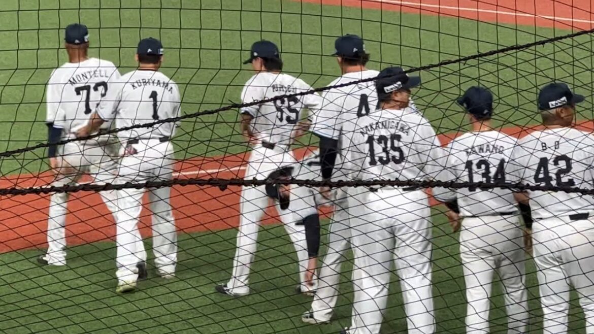 【二軍戦】ライオンズ 勝利の瞬間! 栗山巧がモンテルに先頭迎え入れの流儀を教える【西武2-1楽天】2025/6/24 ファーム 【二軍戦】ライオンズ 勝利の瞬間! 栗山巧がモンテルに先頭迎え入れの流儀を教える【西武2-1楽天】2025/6/24 ファーム