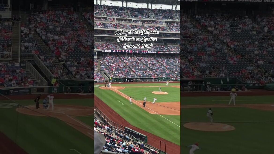 A Day at the Ballpark: Nationals vs Marlins (June 15, 2025) - #WashingtonDC