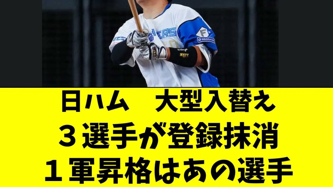 【日ハム】大型入替え！３選手が抹消、昇格はあの選手！