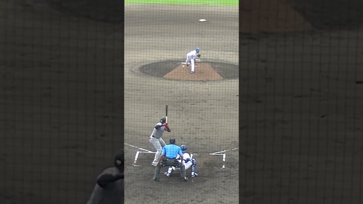 巨人 オコエ瑠偉を空振り三振にとる黒木優太（2024年6月25日 北海道日本ハムファイターズ対 読売ジャイアンツ）