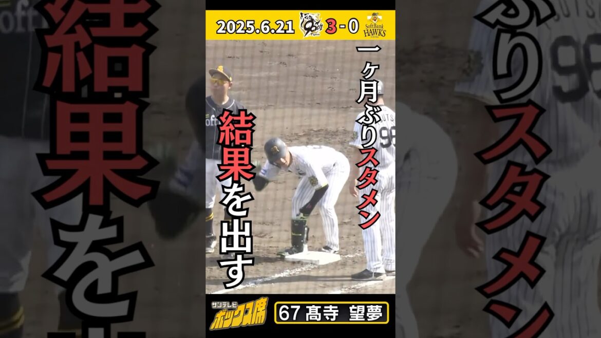 【スタメン起用に結果で応える】髙寺望夢選手約1か月ぶりのヒット！ （6月21日 阪神ーソフトバンク）#サンテレビボックス席
