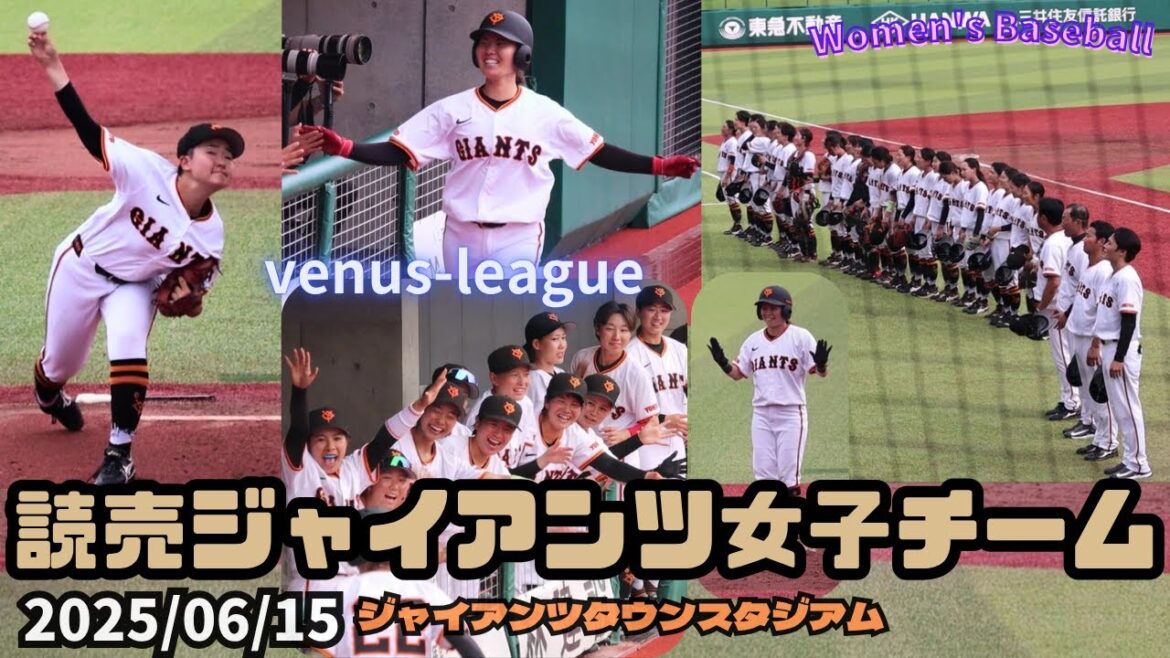 2025/06/15 読売ジャイアンツ女子チーム【女子野球】リポビタン杯争奪プレミアヴィーナスリーグ 巨人 NPBプロ野球 ジャイアンツタウンスタジアム vs埼玉西武ライオンズ・レディース