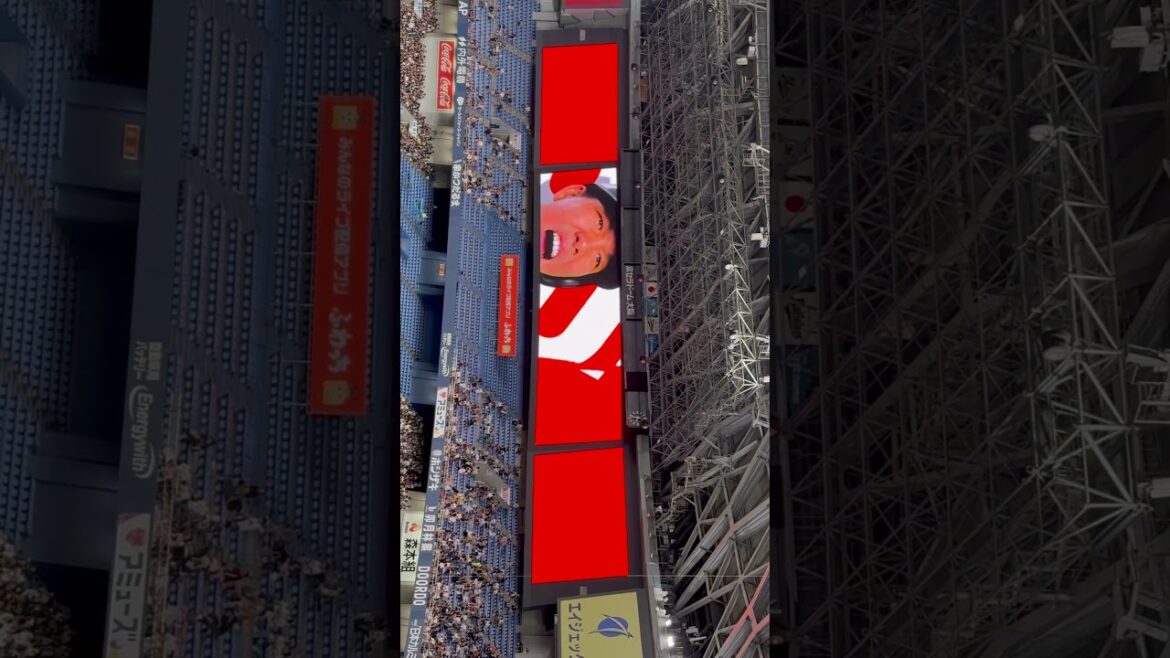 【オリックス】頓宮裕真選手 ビジョン映像 #オリックスバファローズ