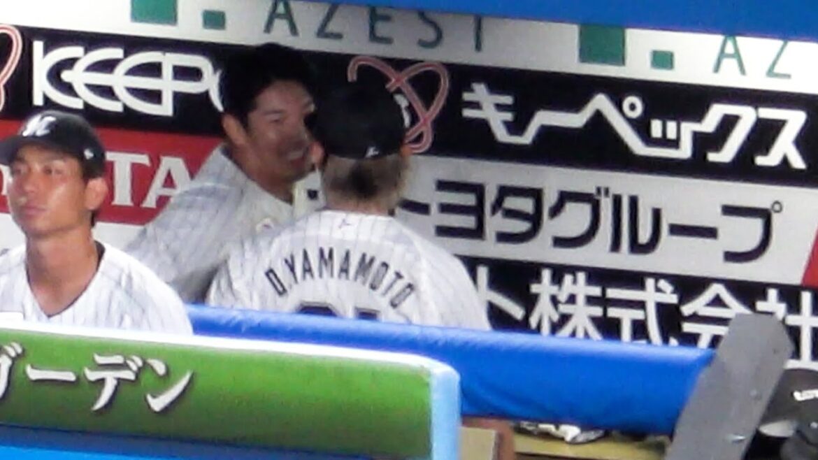 2025 交流戦【千葉ロッテマリーンズ】岡大海のタイムリーで帰って来た池田来翔が山本大斗とベンチでいちゃつく 現地映像 【巨人戦】 2025 交流戦【千葉ロッテマリーンズ】岡大海のタイムリーで帰って来た池田来翔が山本大斗とベンチでいちゃつく 現地映像 【巨人戦】