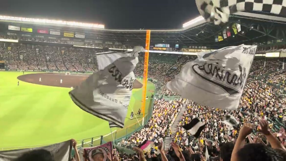 ラッキーセブン PRIDE 安田尚憲ヒット  2025/6/17 タイガース vs ロッテ  #chibalotte 阪神甲子園球場