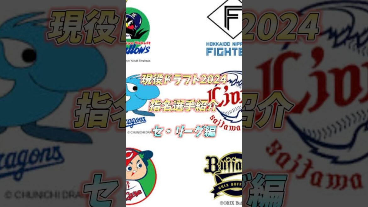 【現役ドラフト2024】セ・リーグ指名選手 #現役ドラフト #プロ野球 #野球 #npb #baseball