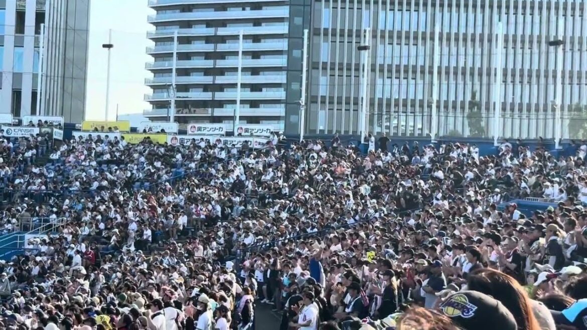 紅林弘太郎　応援歌