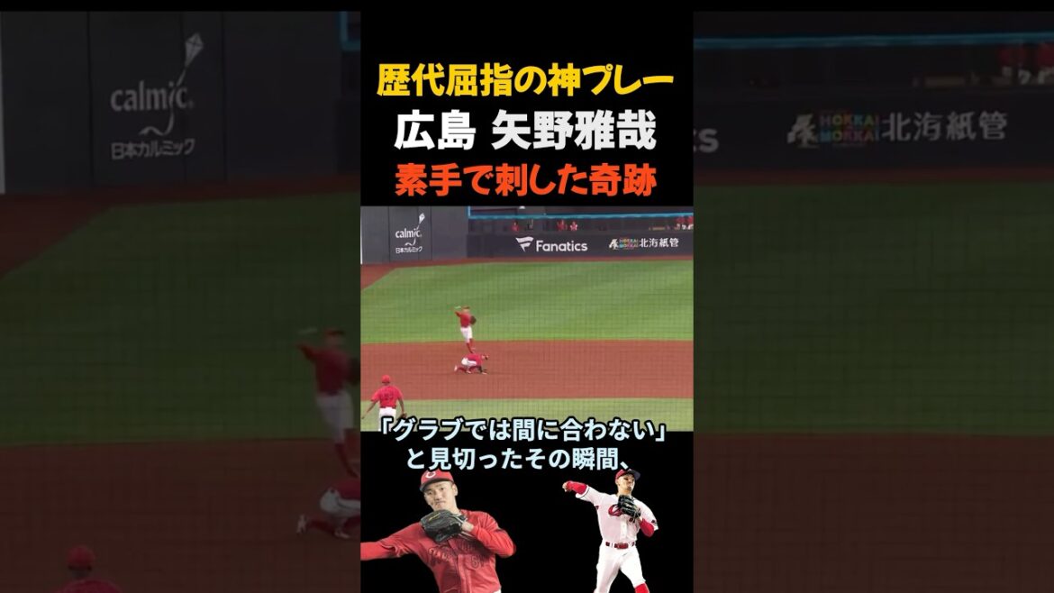 【歴代屈指の神プレー】広島 矢野雅哉、素手で刺した奇跡【なんJ なんG野球反応まとめ】【2ch 5ch】#矢野雅哉 #広島東洋カープ 【歴代屈指の神プレー】広島 矢野雅哉、素手で刺した奇跡【なんJ なんG野球反応まとめ】【2ch 5ch】#矢野雅哉 #広島東洋カープ