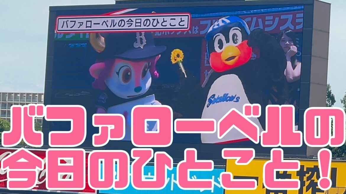 バファローベルの今日のひとこと。ヤクルトスワローズ交流戦オリックス（2025年6月22日）