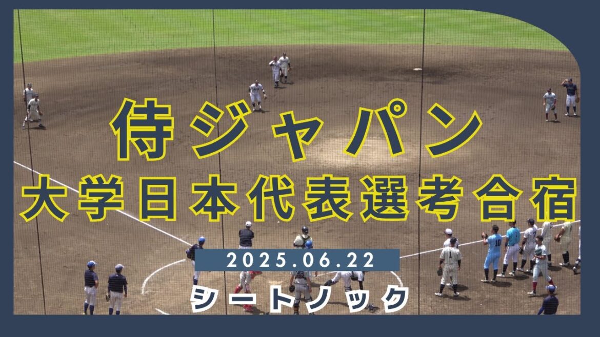 【侍ジャパン大学代表選考合宿】平塚合宿でのシートノックを撮影! 【侍ジャパン大学代表選考合宿】平塚合宿でのシートノックを撮影!