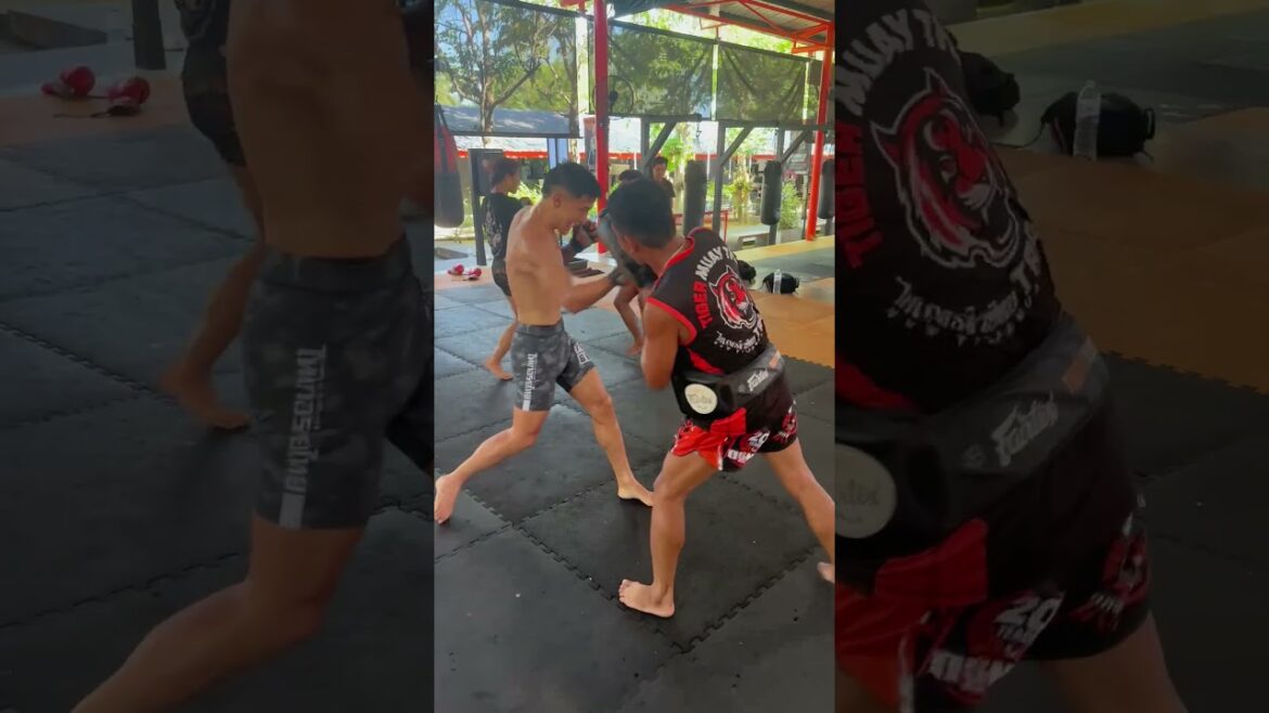 Tomoki Sato final preaparations for #ONELumpinee106