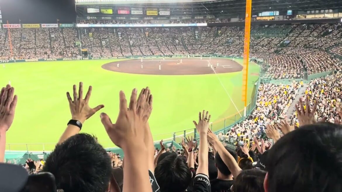 ヒットテーマ7→チャンステーマ6→角中勝也応援歌→交流戦限定応援歌→チャンステーマ3→ 好きだぜロッテ(夢花火) 2025/6/17 タイガース vs ロッテ  #chibalotte 阪神甲子園球場