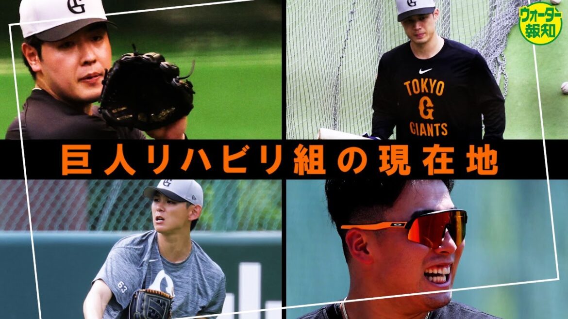 【復帰に向けて】リハビリ組は何してる? 岡本和真、浅野翔吾ら故障班の現在地を確かめてきた【ウォーター報知】 【復帰に向けて】リハビリ組は何してる? 岡本和真、浅野翔吾ら故障班の現在地を確かめてきた【ウォーター報知】