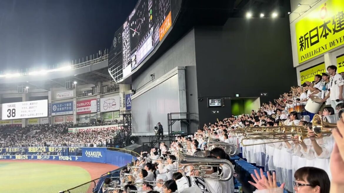 【美爆音】ロッテ　習志野応援デー2024 髙部瑛斗　応援歌