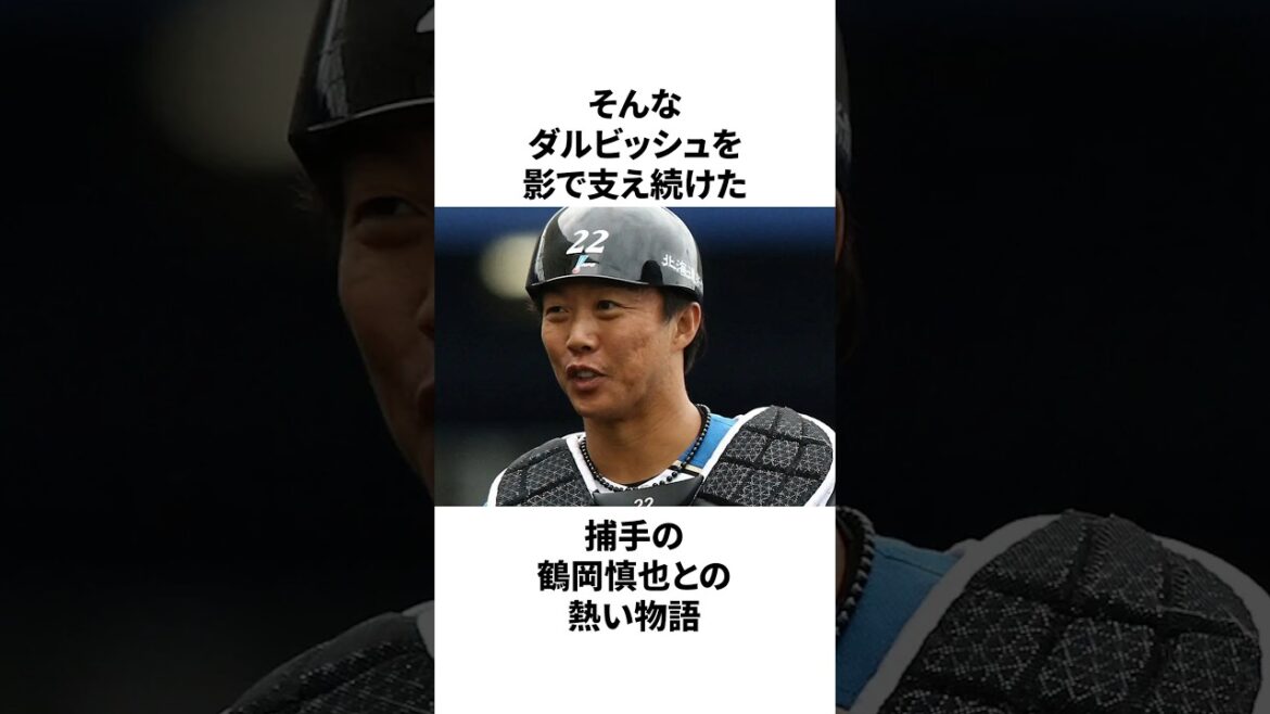 ダルビッシュ有が「俺に牽制の指示をするな」と鶴岡慎也に言ったことついての雑学　#プロ野球 #野球 #mlb